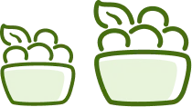 Free upsize icon